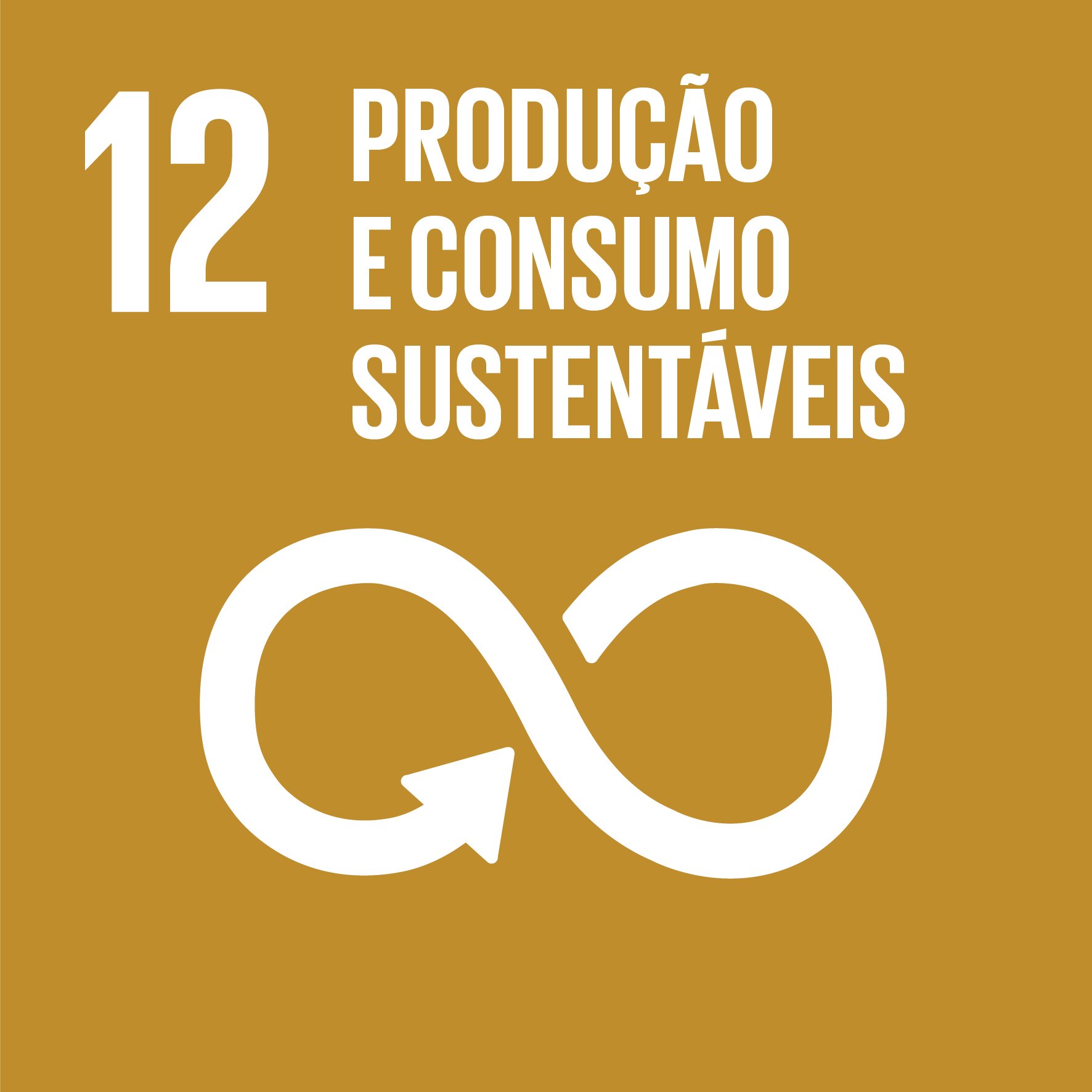 Objetivo 12: Padrões de Consumo e Produção Responsáveis | Objetivos do Desenvolvimento Sustentável | ONU Objetivo 12: Padrões de Consumo e Produção Responsáveis